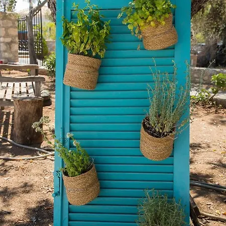 Appartement Gerani 1 *