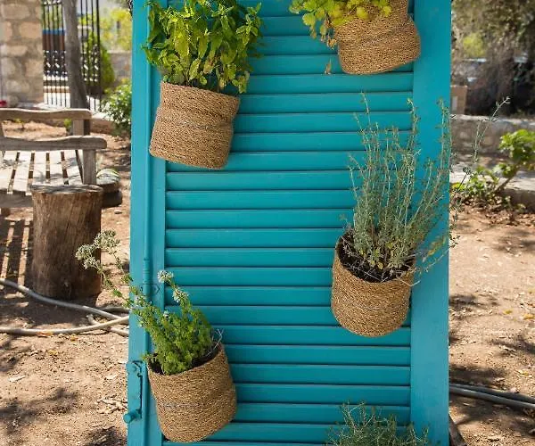 Apartment Gerani 1 *